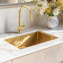 Reginox Flint pvd gouden keukenkraan met draaibare en uittrekbare uitloop R36013