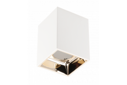 Ceiling luminaire ARIES, PC, 77x100mm, IP20, max 20W, square, white/gold