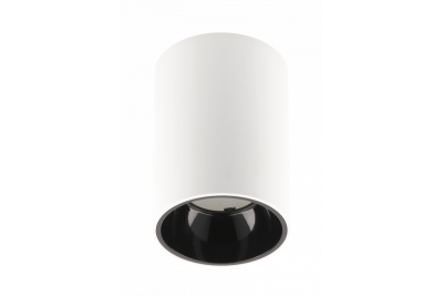Ceiling luminaire ARIES, PC, 73x105mm, IP20, max 20W, round, white/black