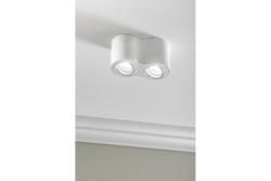 Decor Plafondarmatuur AVEIRO DUO BIS aluminium 160x80x90mm IP20 max 20W*2 rond wit. 1208963835
