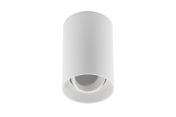 Ceiling light fixture RESTO, PC, φ80x125mm, IP20, max 20W, round, white